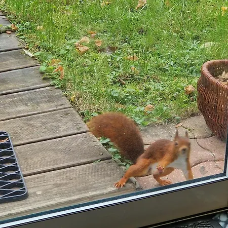 La Canadienne Bed and breakfast Évreux